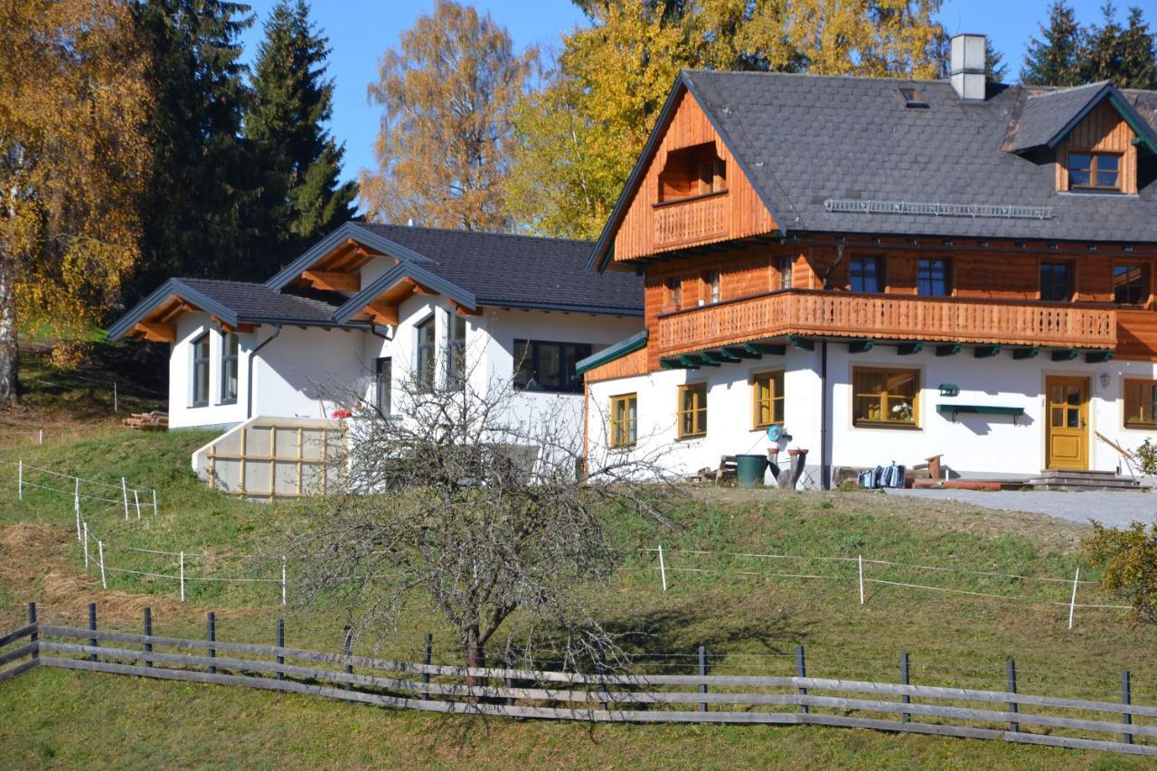 Appartement - Das Kleine Bleiberger By Schladmingurlaub Extérieur photo
